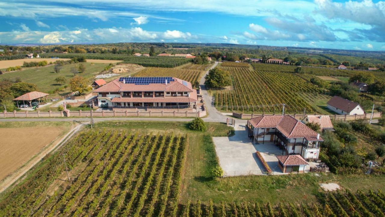 Turbékpuszta Ebner Pince - Panzio Bed & Breakfast エクステリア 写真