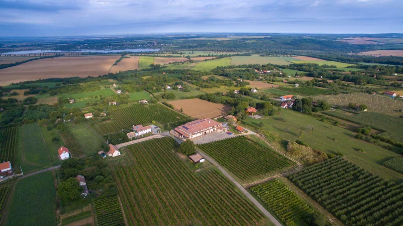 Turbékpuszta Ebner Pince - Panzio Bed & Breakfast エクステリア 写真