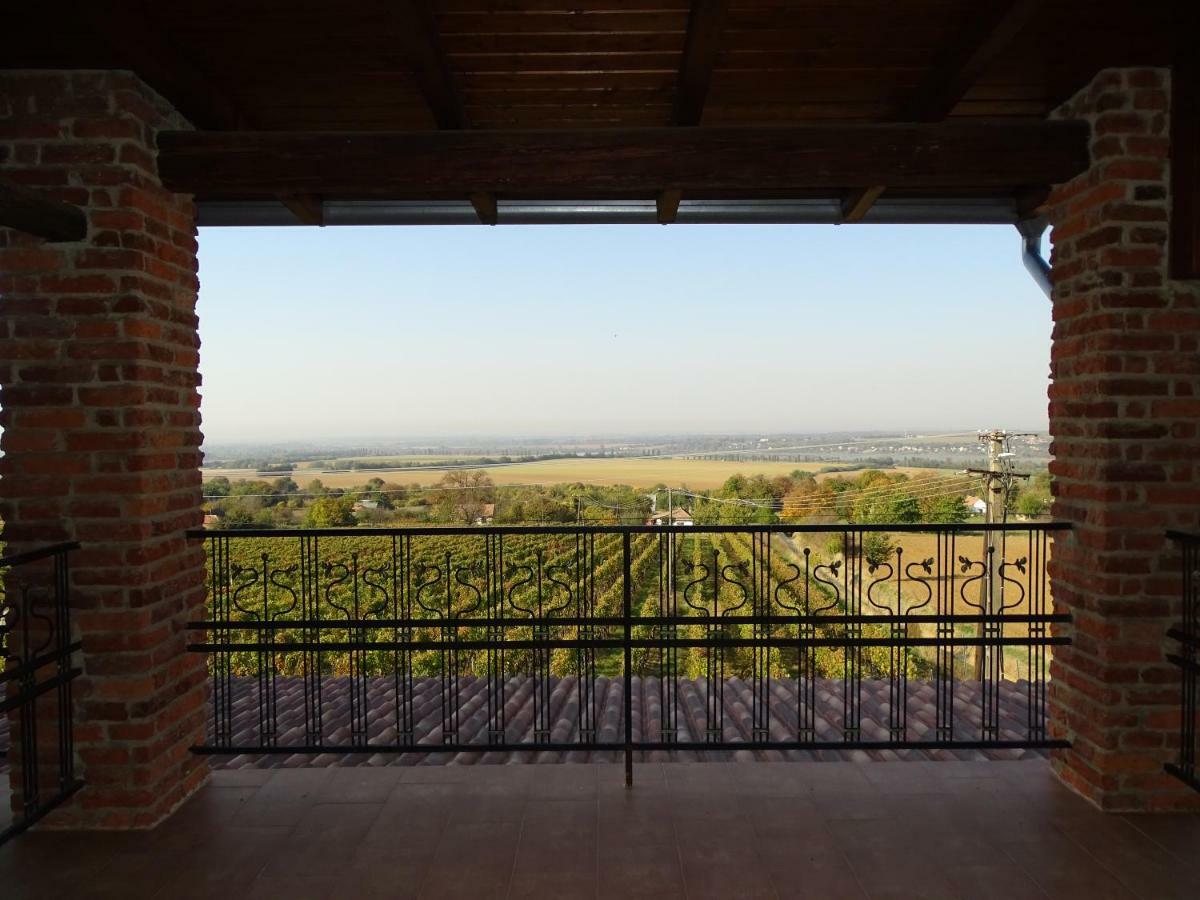 Turbékpuszta Ebner Pince - Panzio Bed & Breakfast エクステリア 写真
