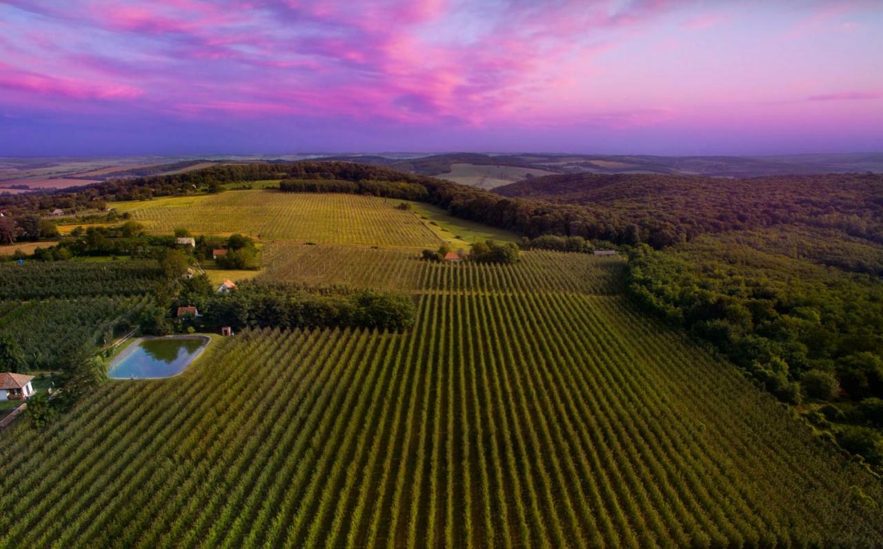 Turbékpuszta Ebner Pince - Panzio Bed & Breakfast エクステリア 写真